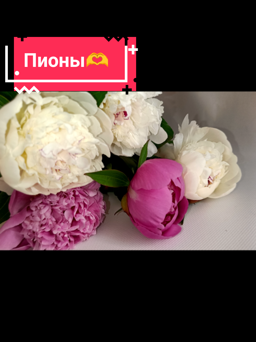 @Irina Greben