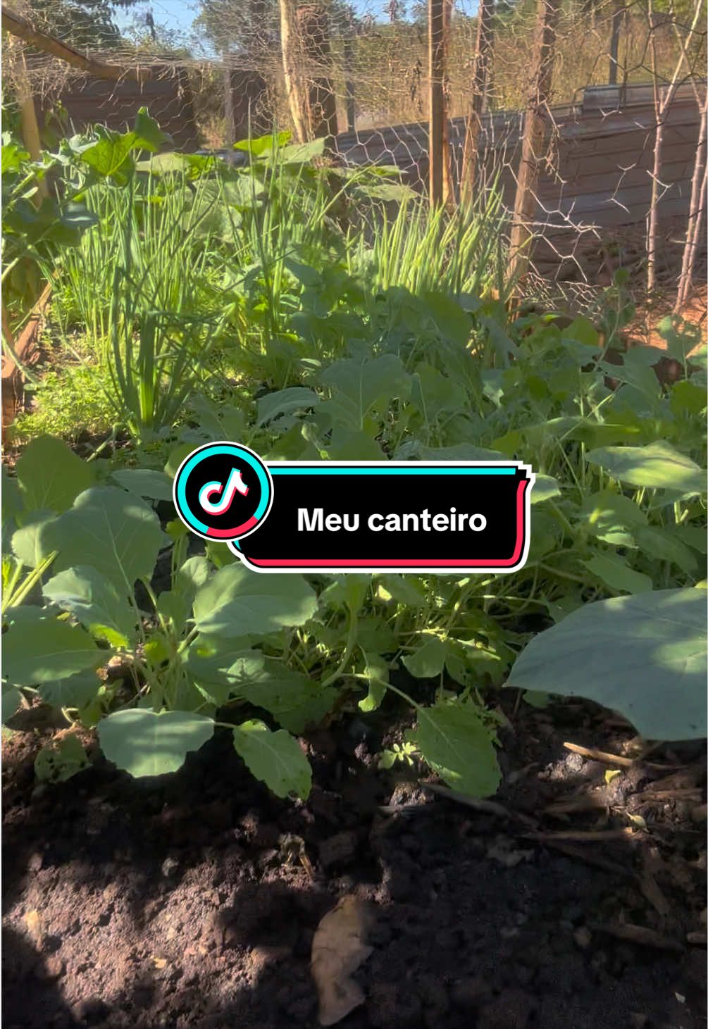 @Antonia Sousa