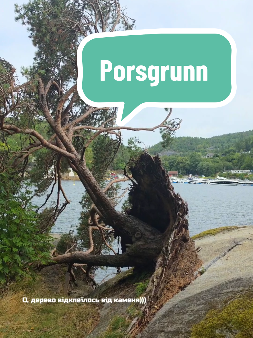 @©️ ₸ҤE ₦ØƦ$ƙ ₩λ¥ 🇳🇴