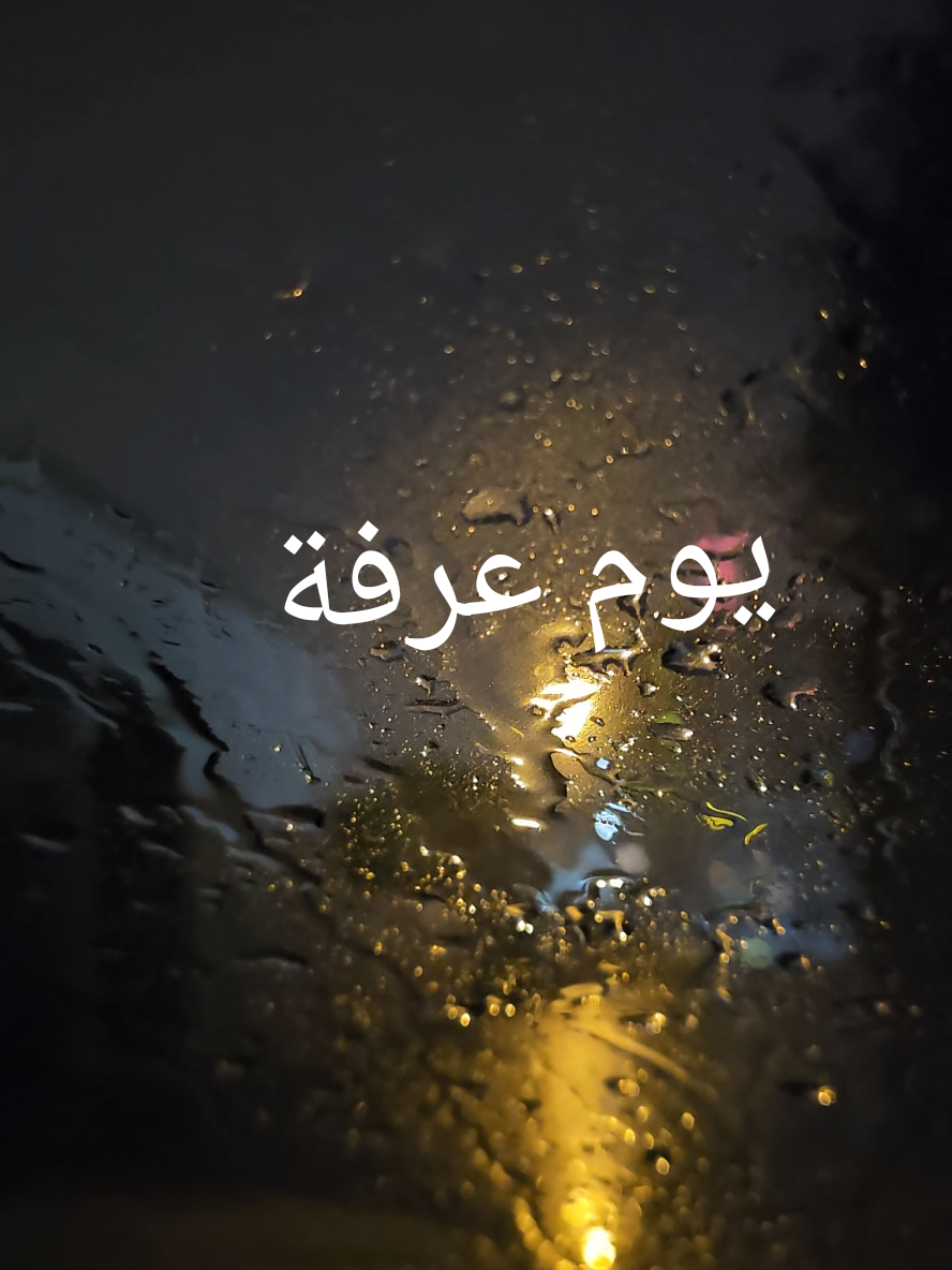 @احمد منير