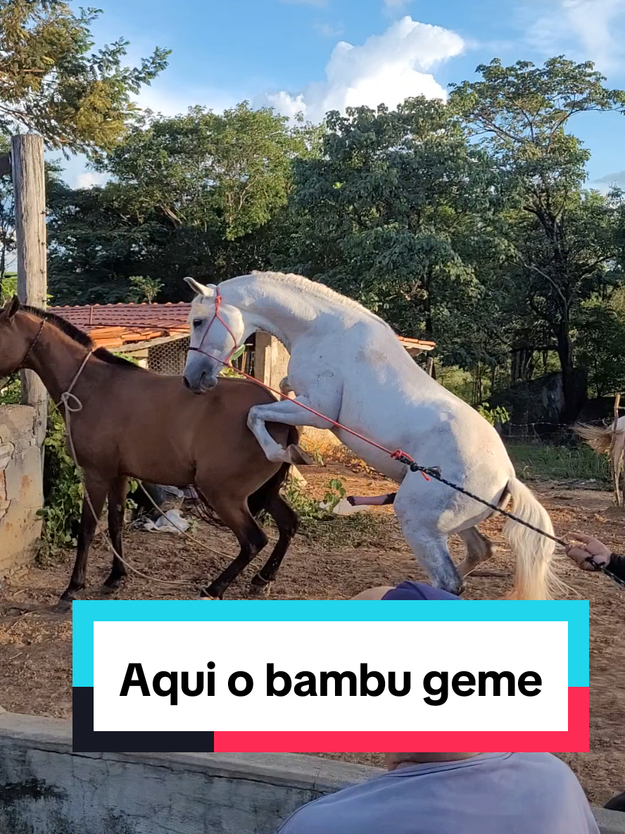 @Jardel Ferreira