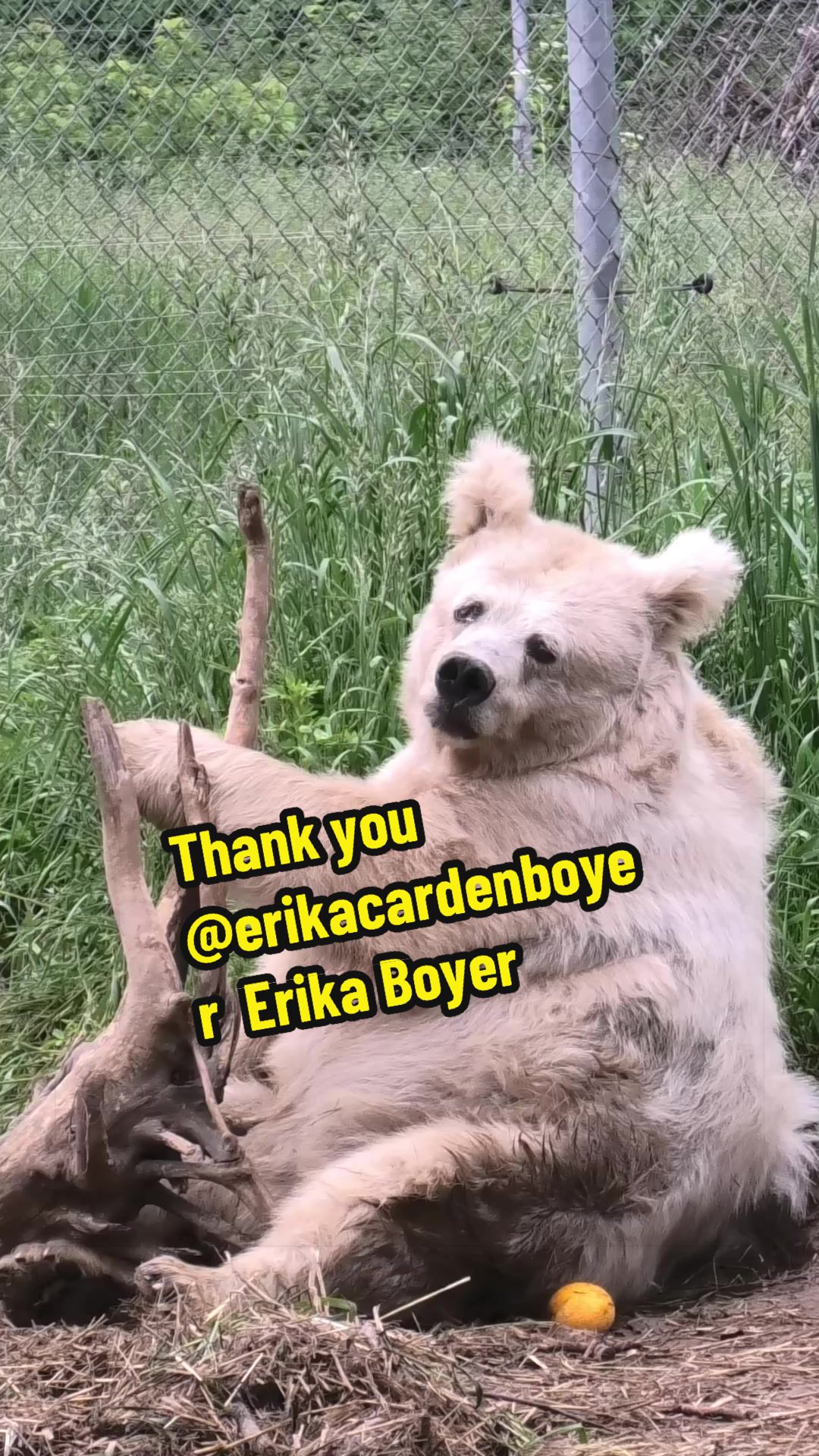 @Whiterock.savewildfund
