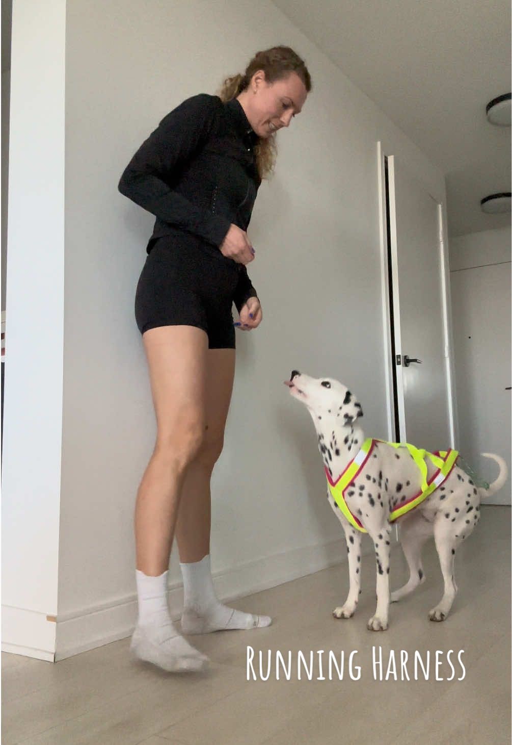 @Nevada the Dalmatian