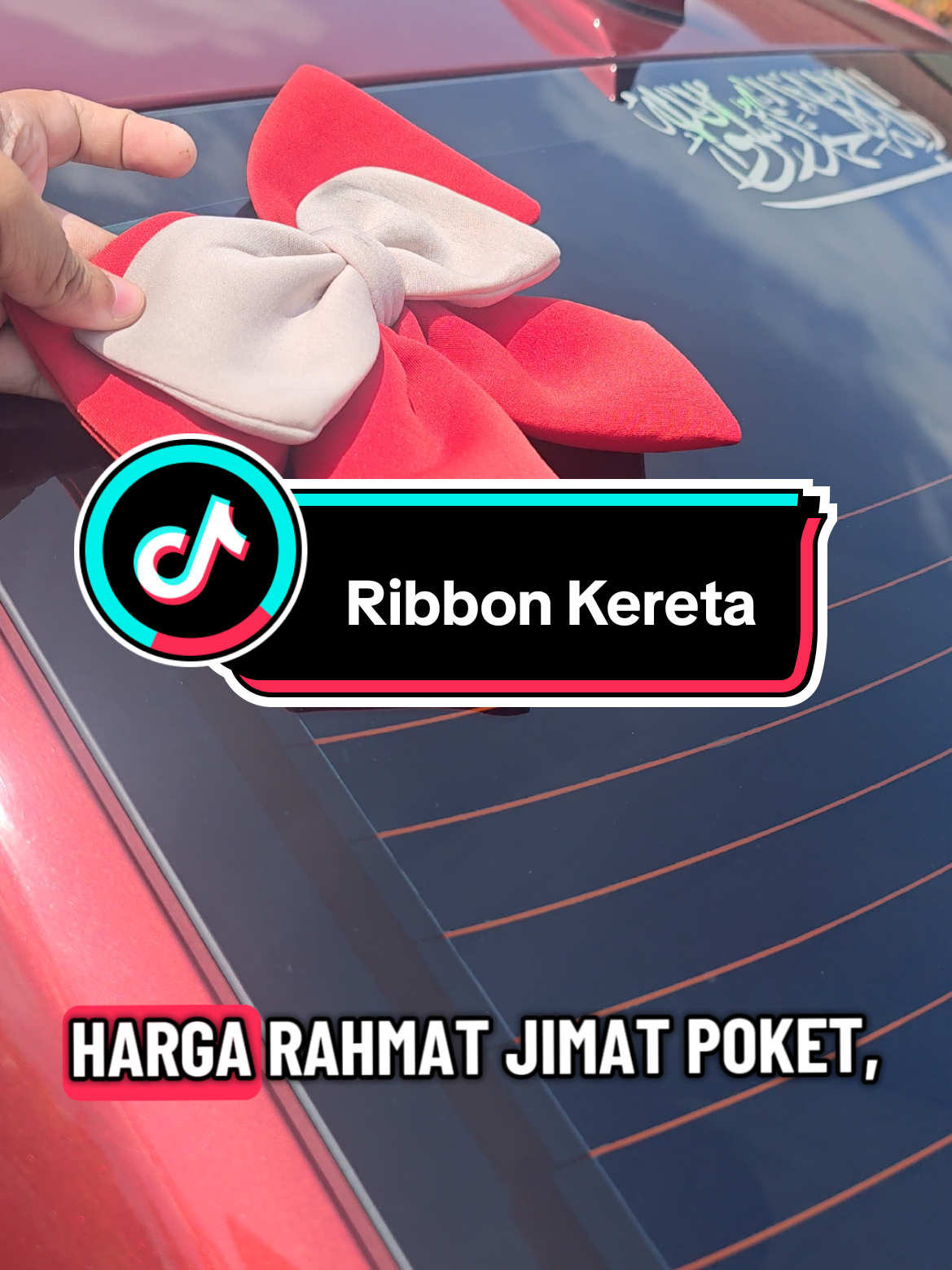 @๐บ๐๐๐ ๐๐๐๐ ๐ฏ๐๐๐๐