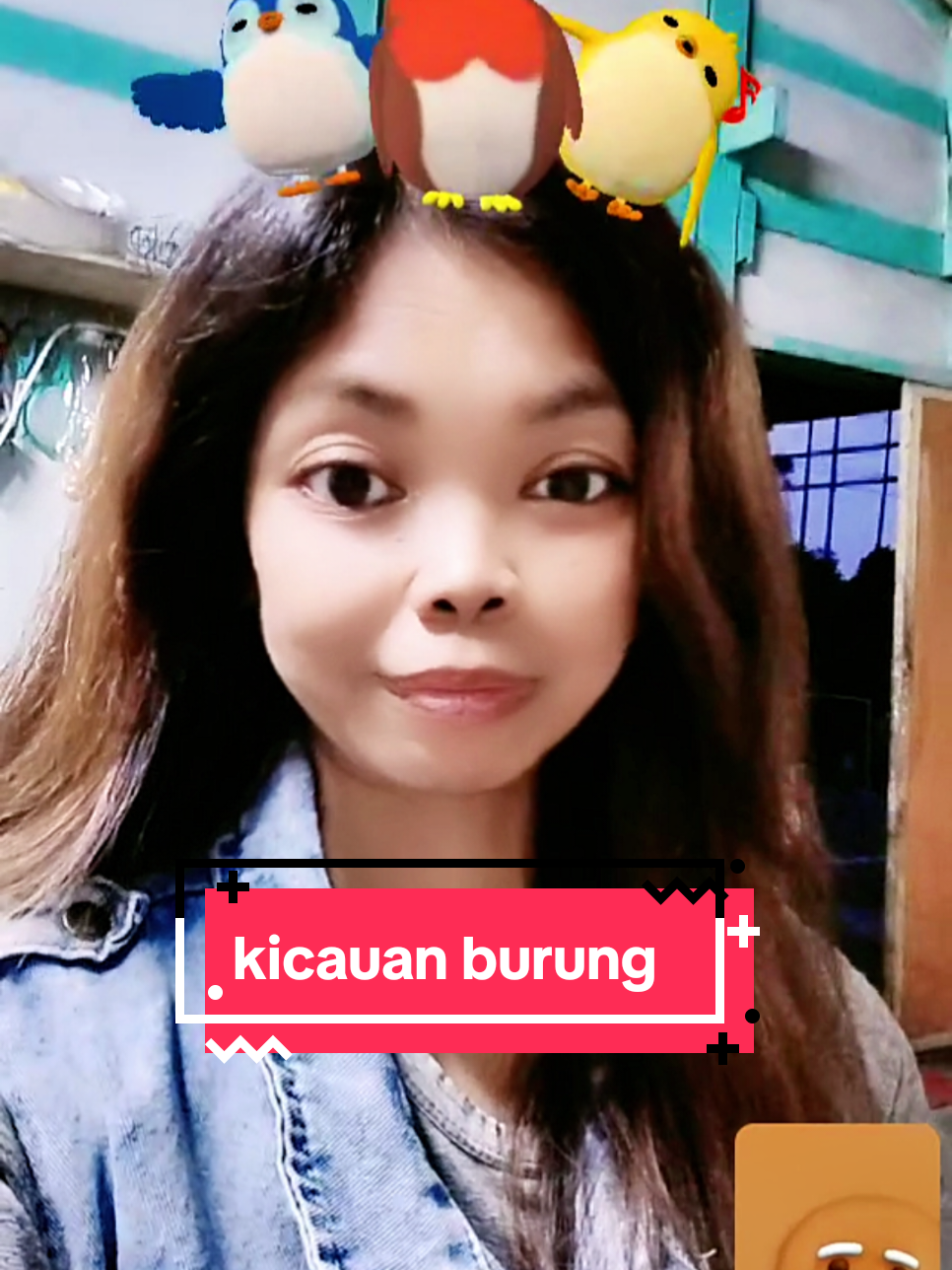 @indi Labubu02