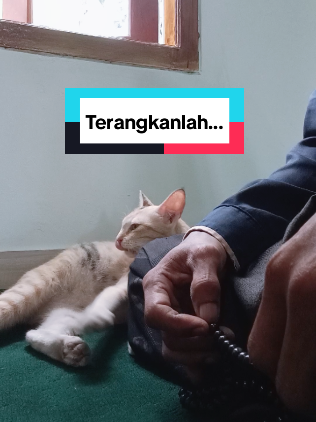 @Kang Hilman
