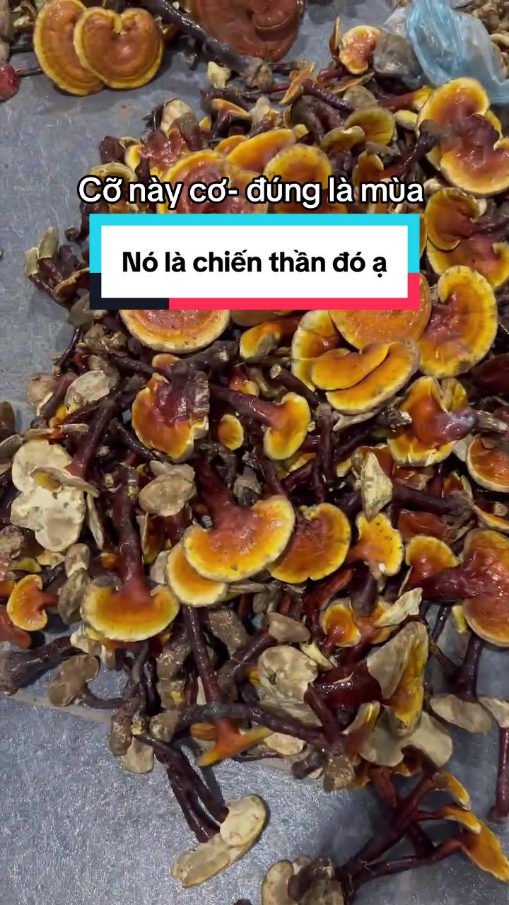 @Dung Nh&acirc;y
