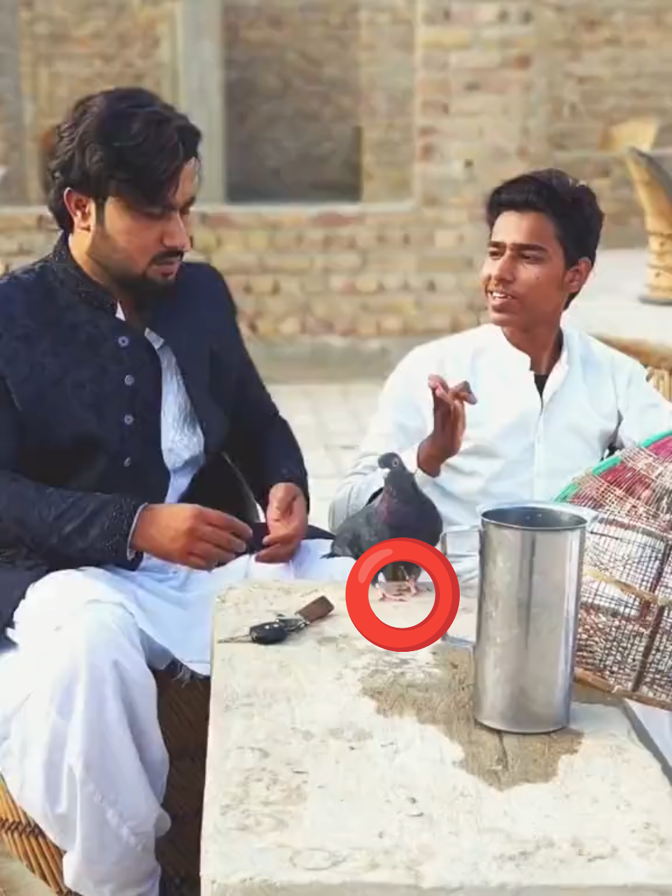 @Usama tunio