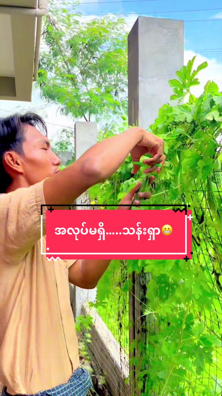 @Thant Zin Htike - Vlog