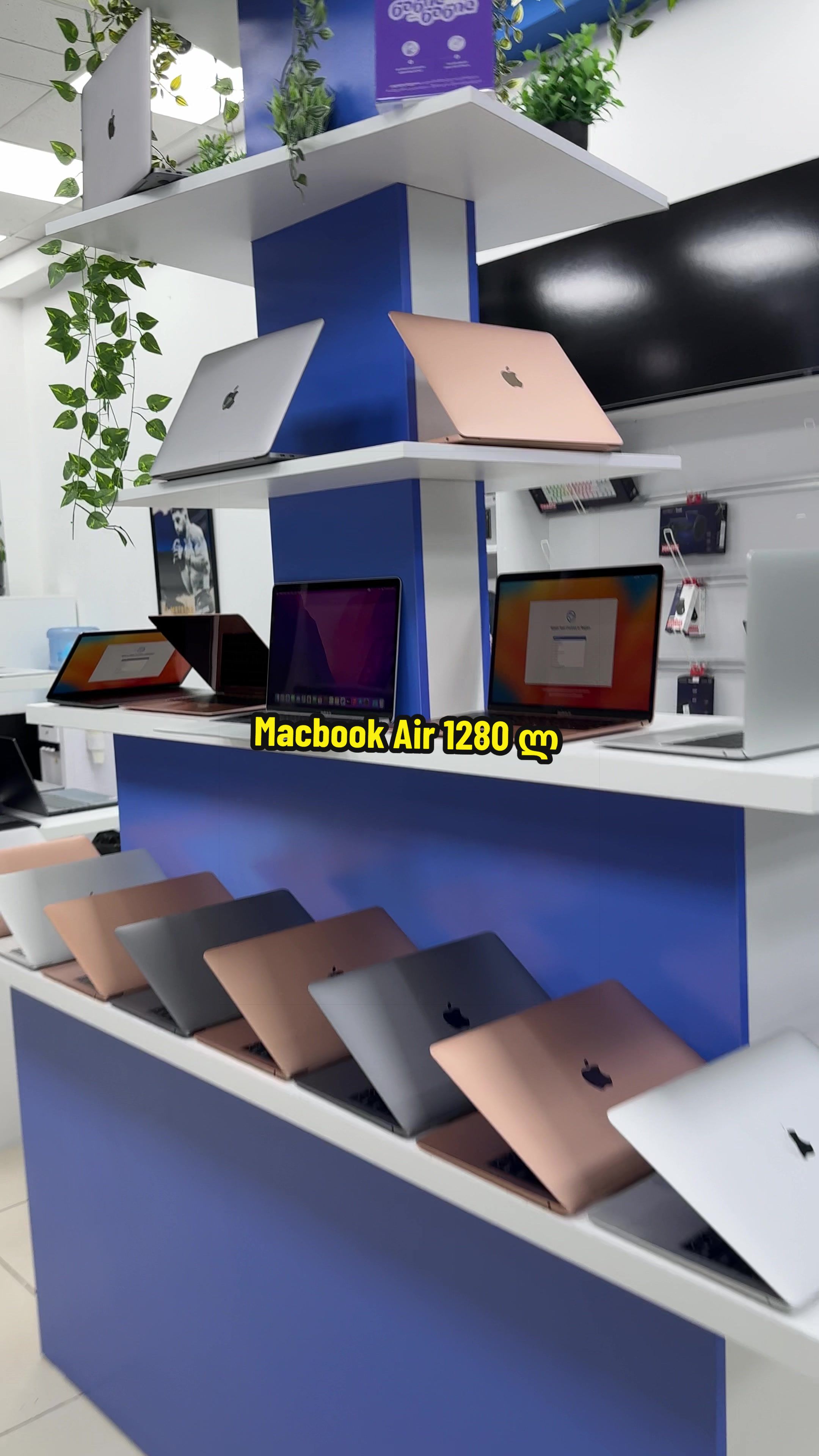 @Gstore • ჯისთორი