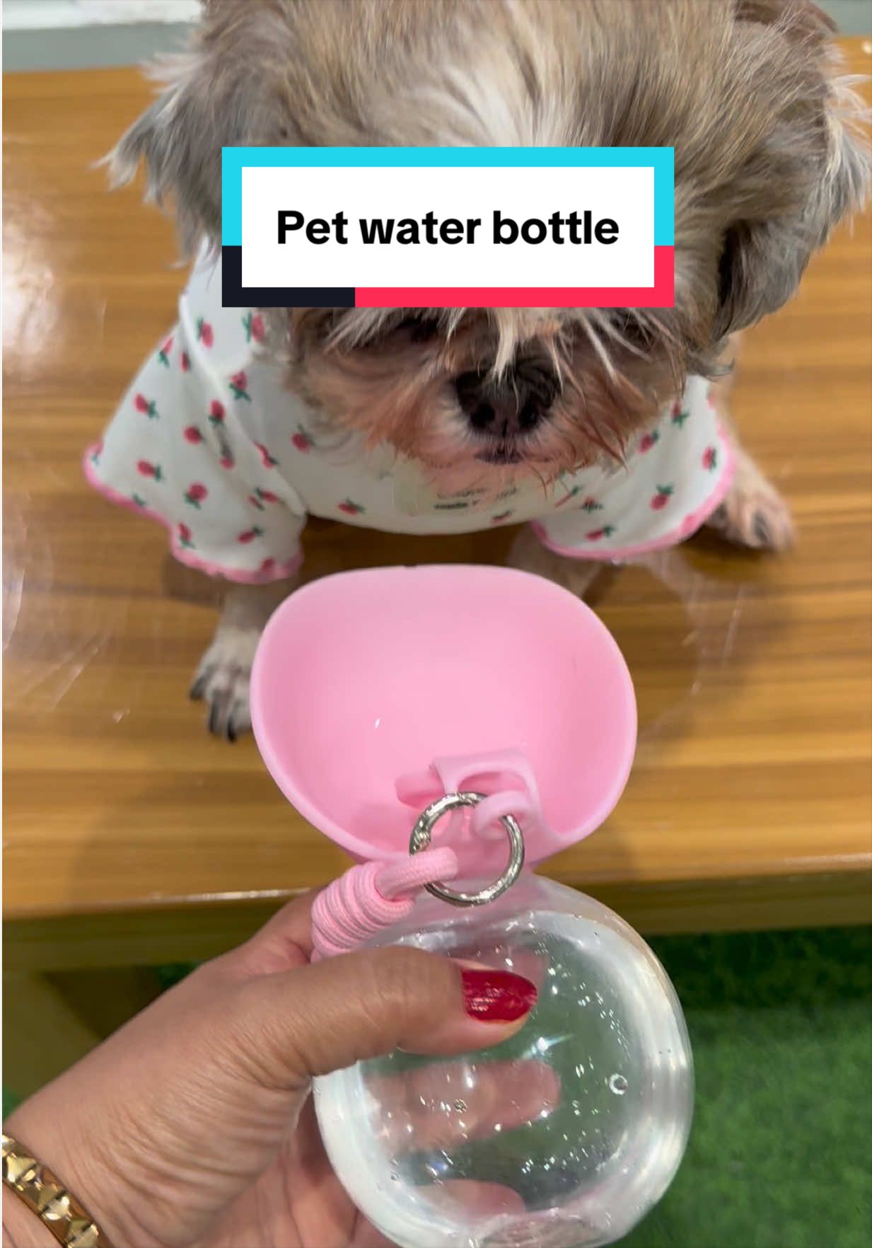 @Nella and Lucky the Shih🐶