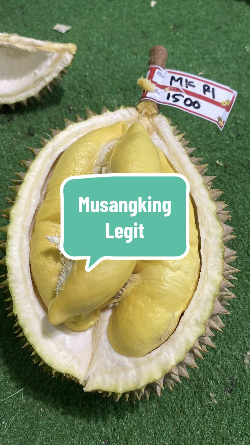 @Rumah Tamma Durian