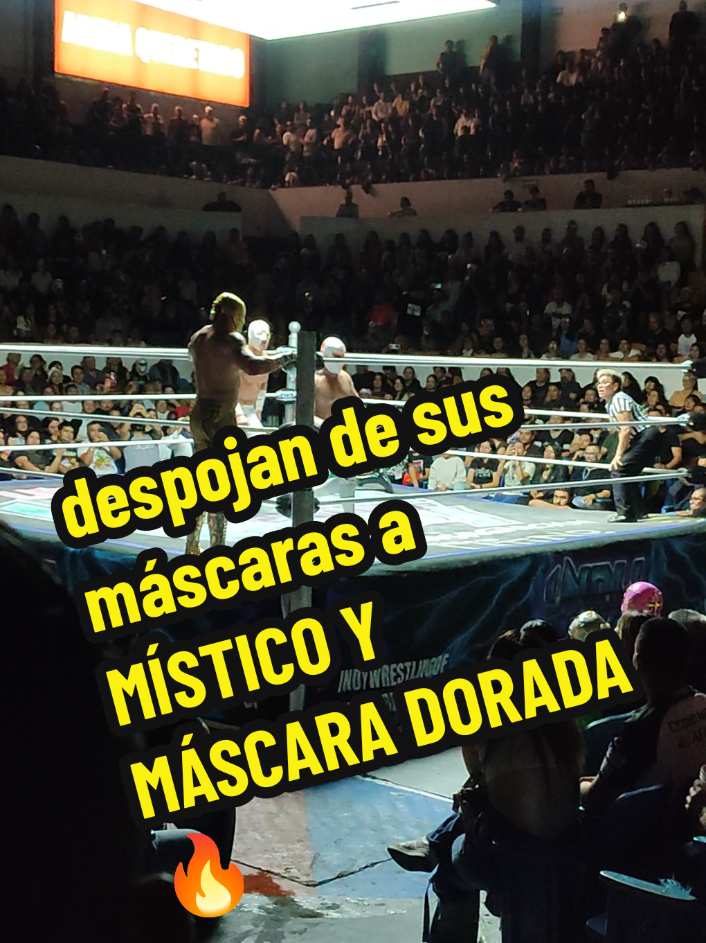 @MAGNETOX