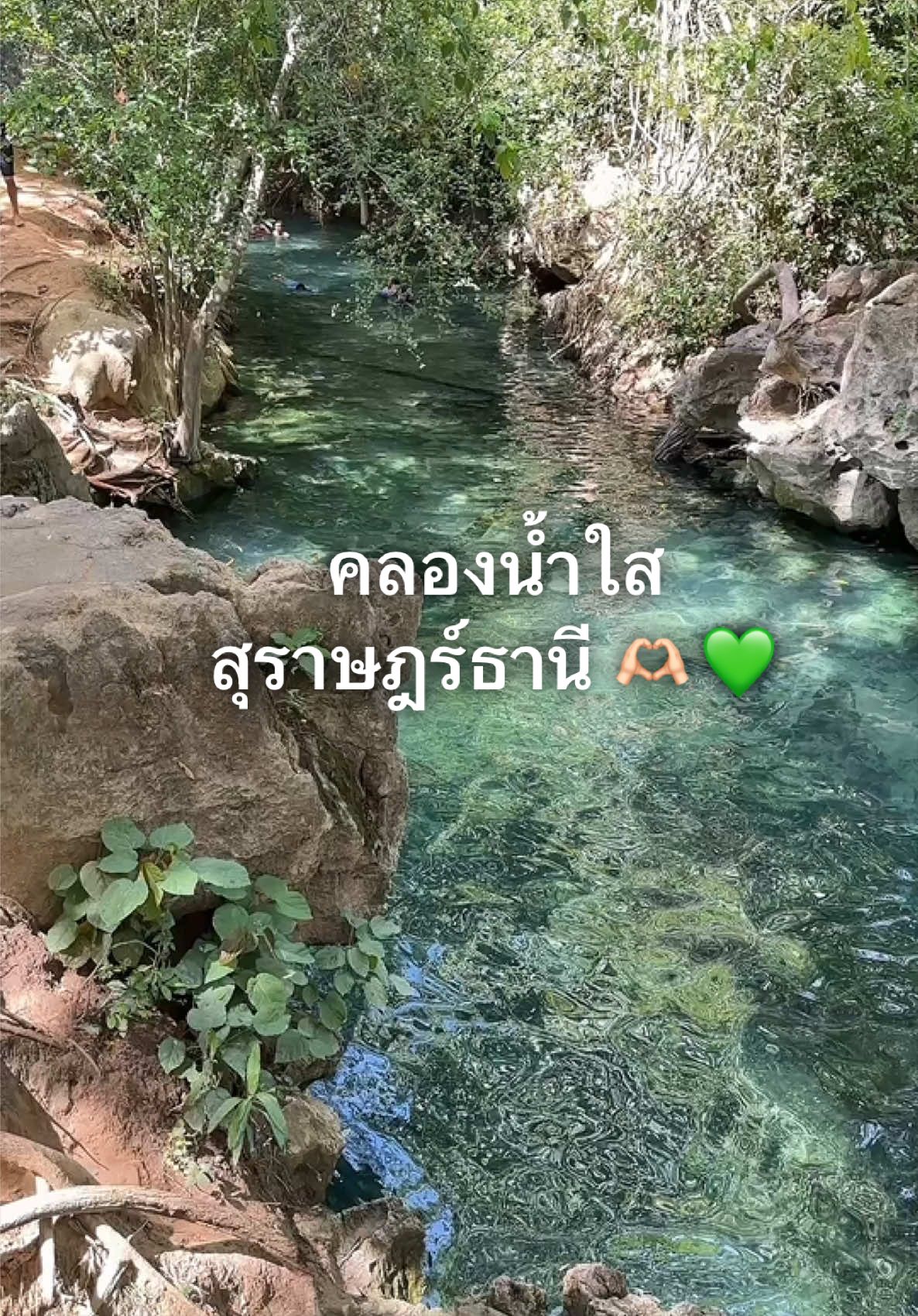 @“ตุ๊กตา” 🧸🤎