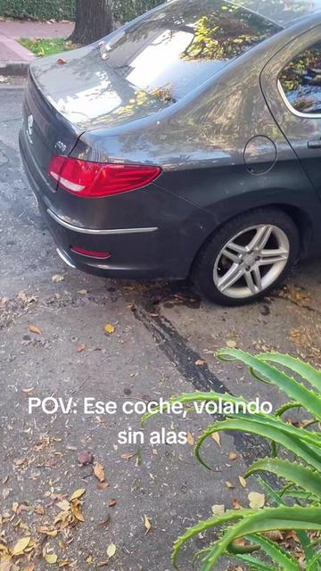 @María Fernanda Voss