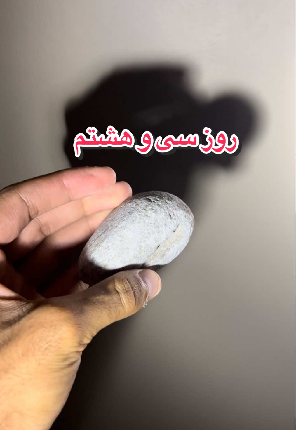 @قلی | یه حیوون خونگی متفاوت