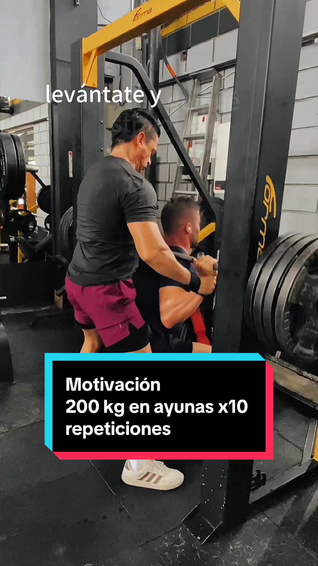 @AlexVelizfit