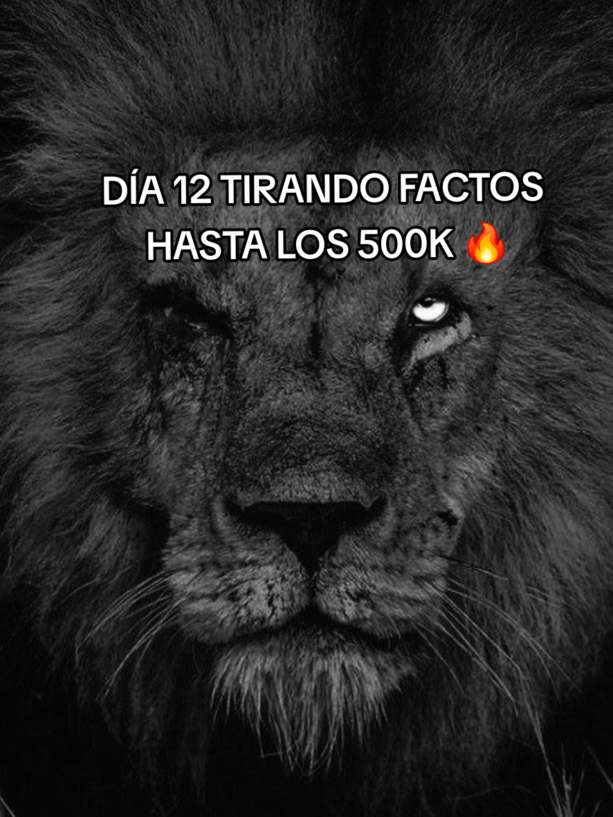 @Javito 