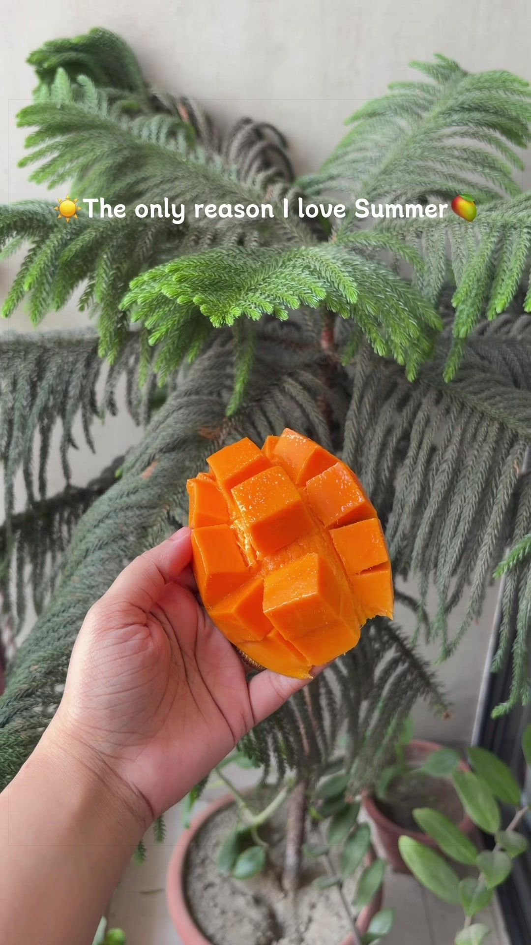 @kitchen_and_beyond3