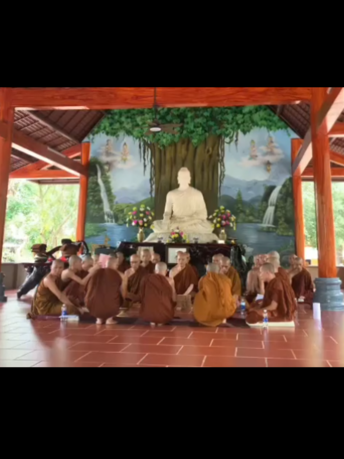@TK Bảo &Acirc;n
