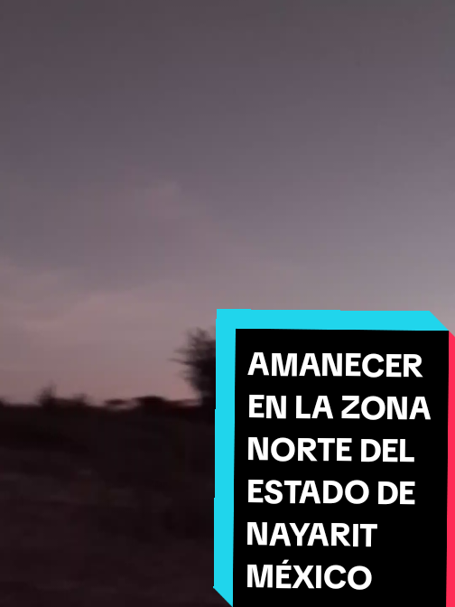 @Eliseo López