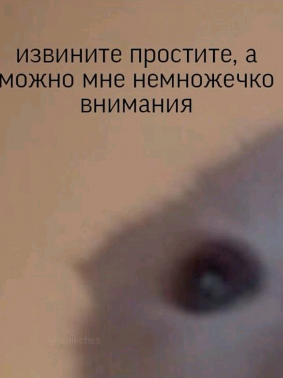 @K.Kot