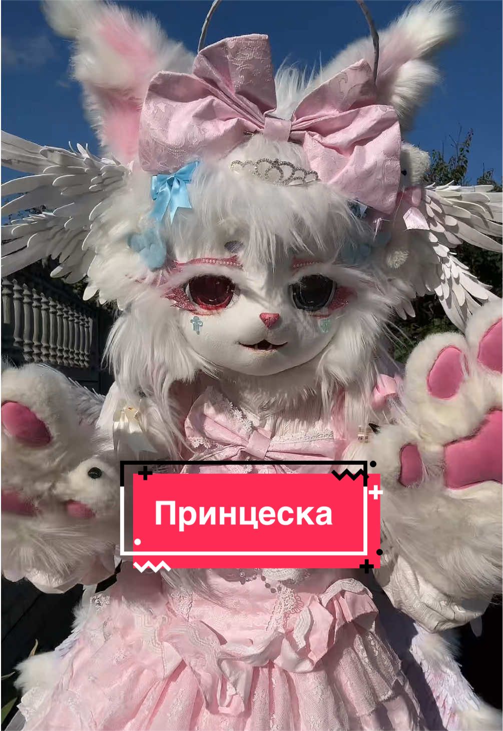 @༒༺Асія_Murrкевич༻༒ ִֶָ𓁿⋆