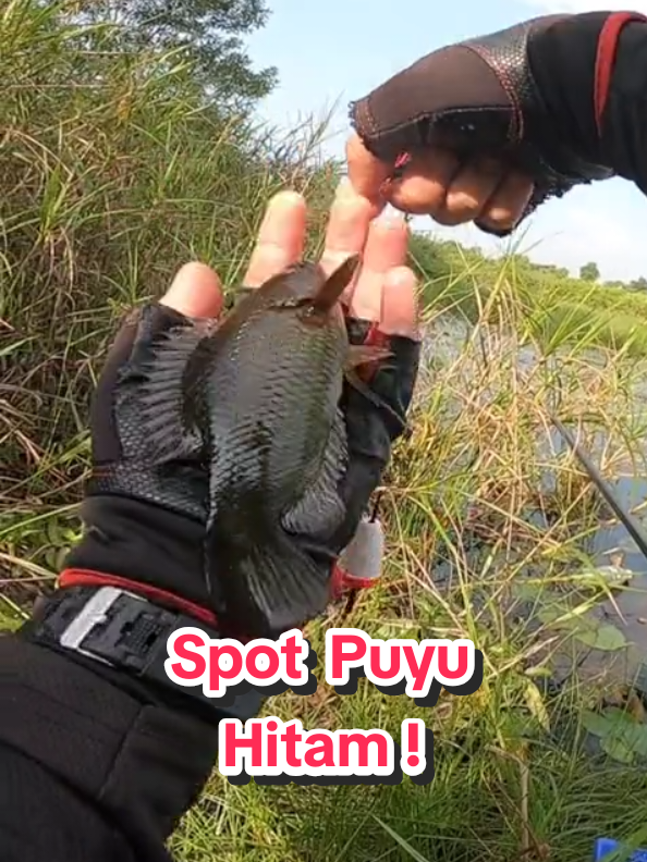 @Paan Pacak