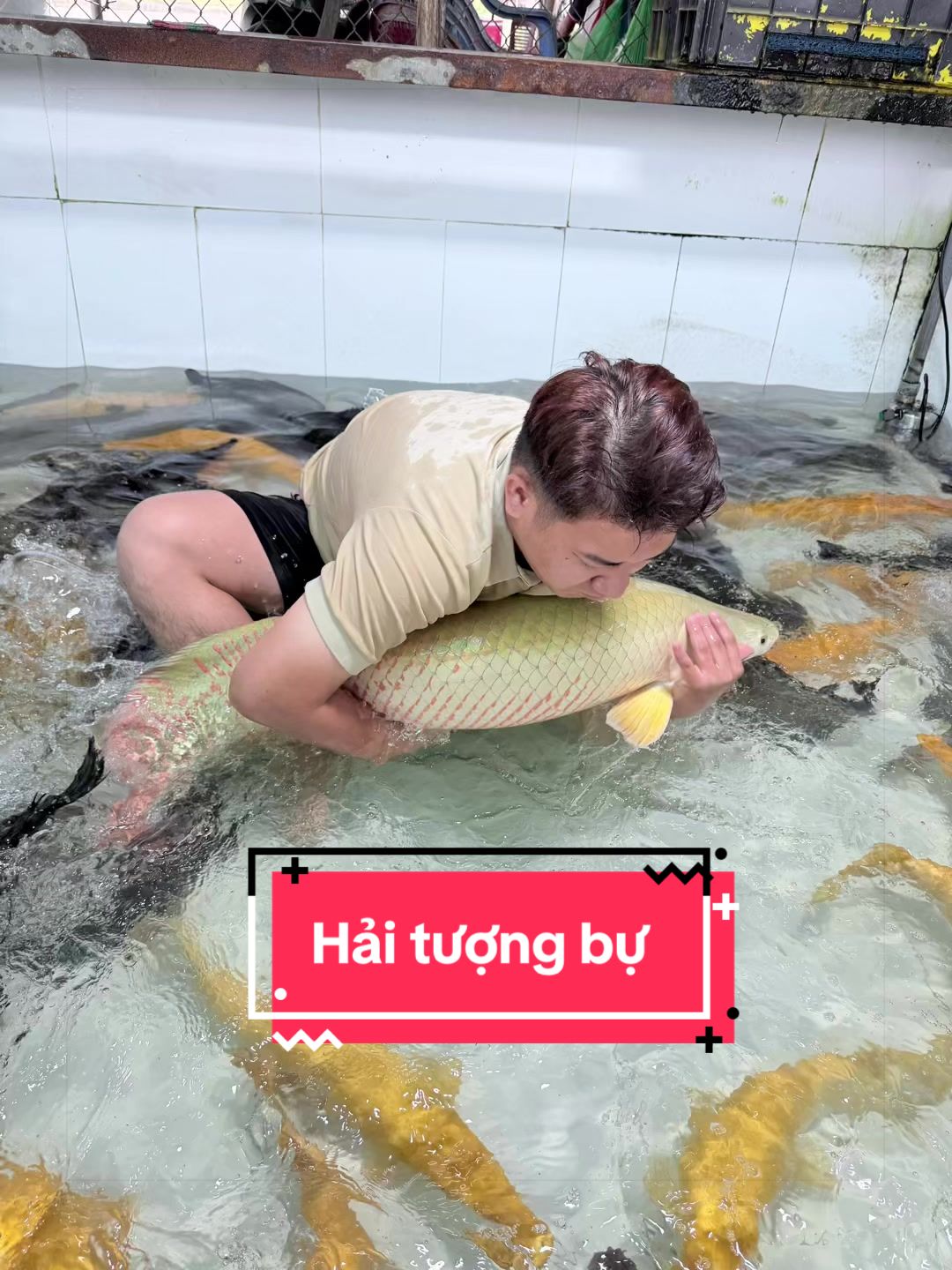 @Ph&aacute;t Đạt B&aacute;n C&aacute; 😎🐠🦈