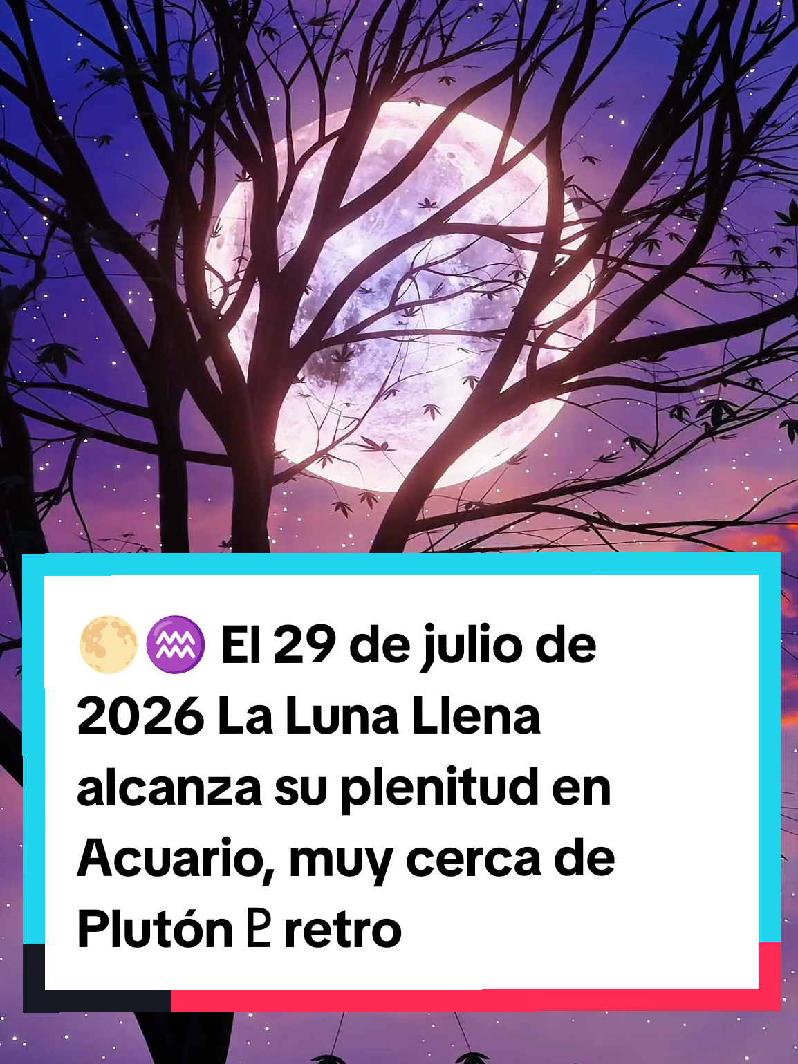 @Mago Arciris