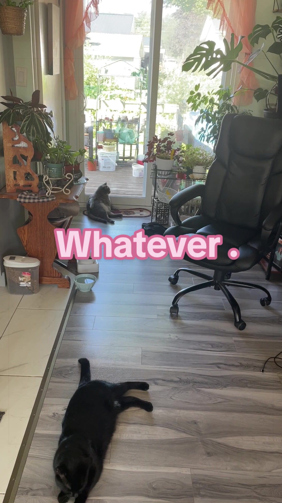 @Reznor_the_cat🪽