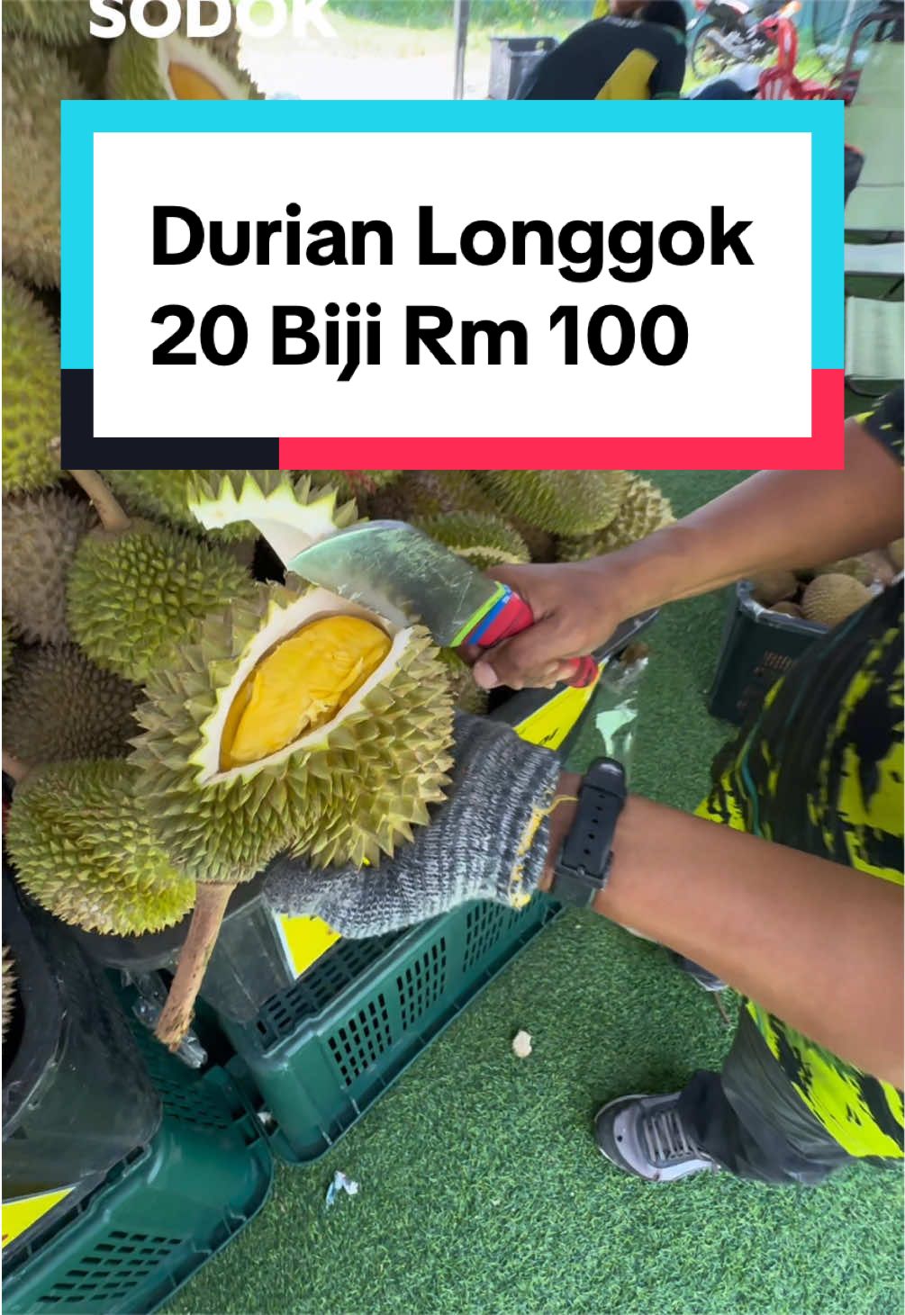@AbangSodok