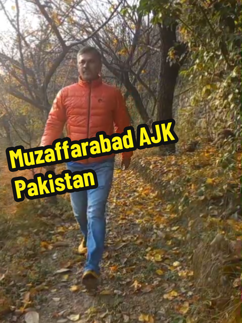 @Ghazanfar Shehzad