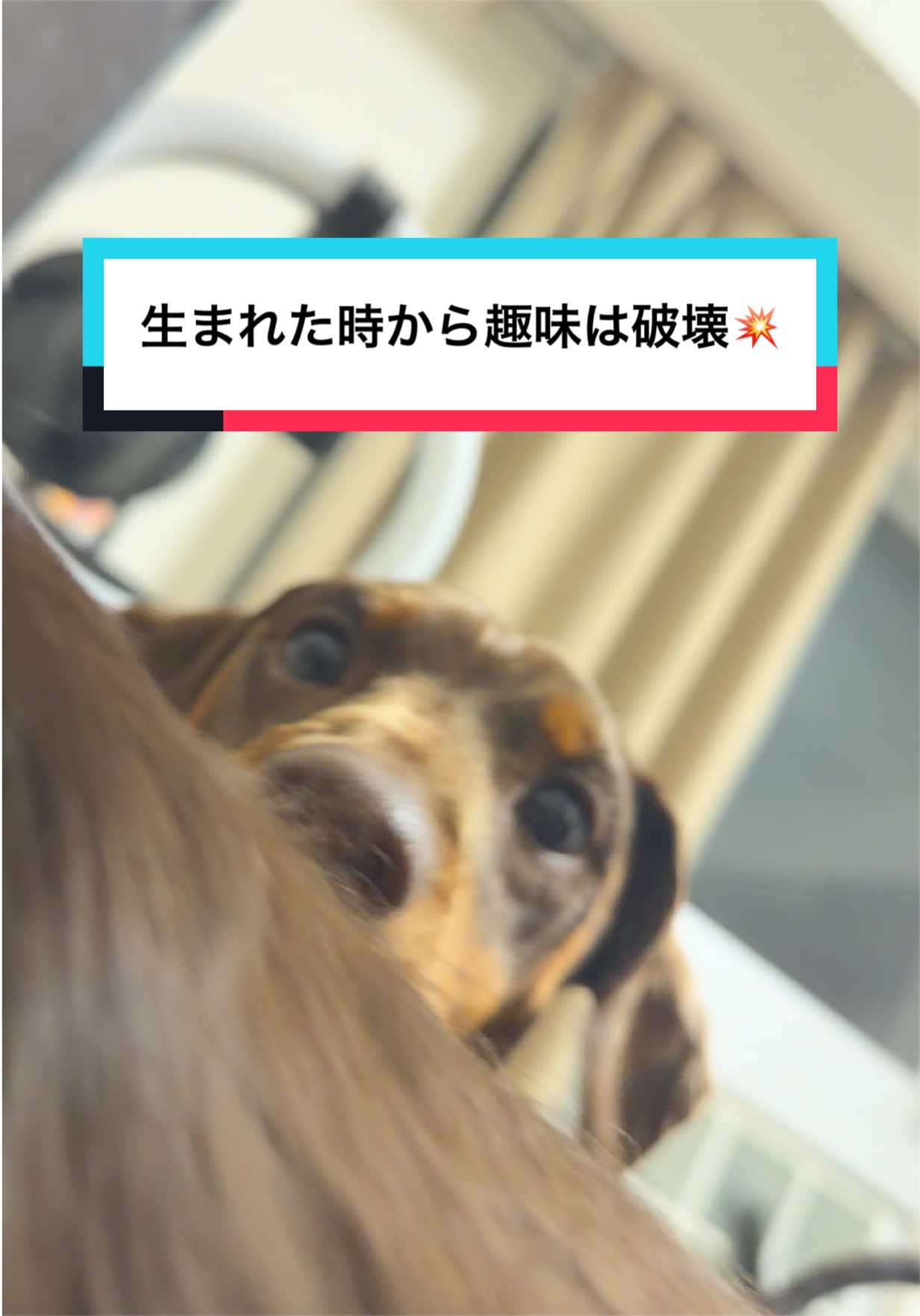 @高嶺のマリア様🌹🧿