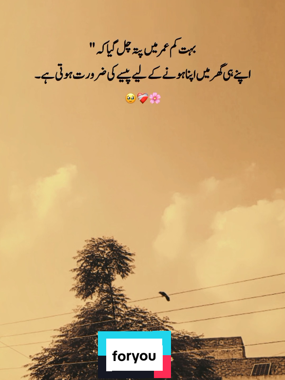 @احمد رائٹس