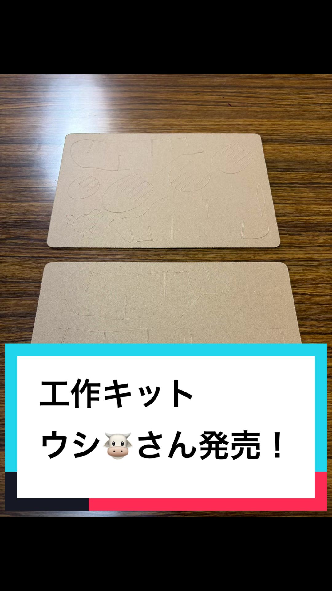 @ダンボール王子🌏♾️🐦&zwj;🔥