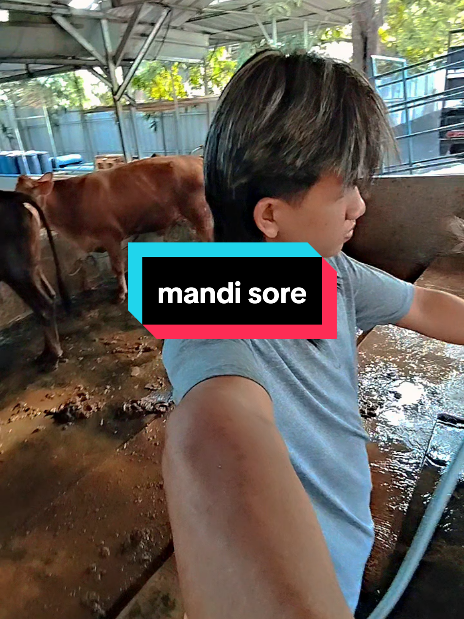 @PUTRA SADAM🐄🐂