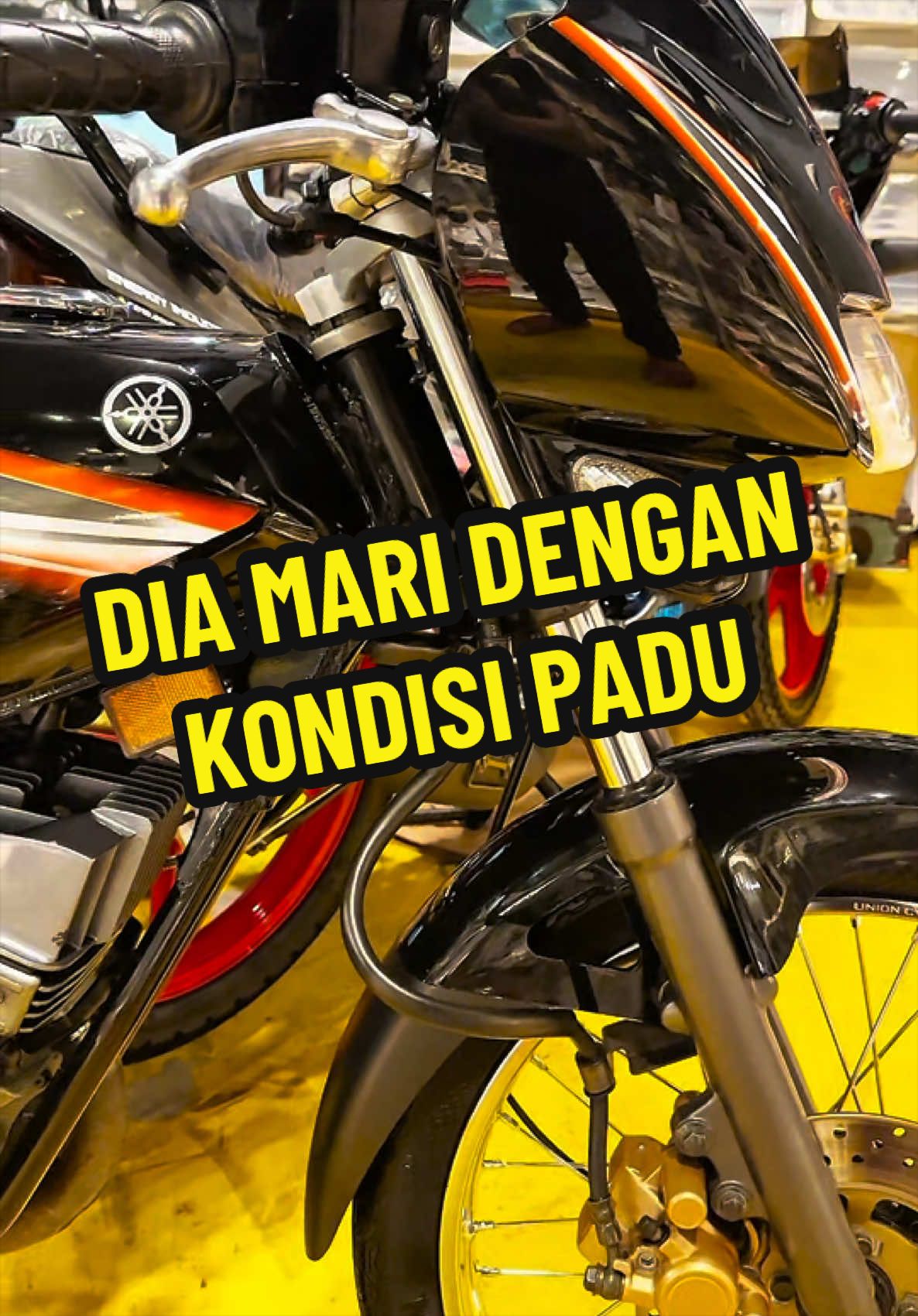 @Syed Ammar