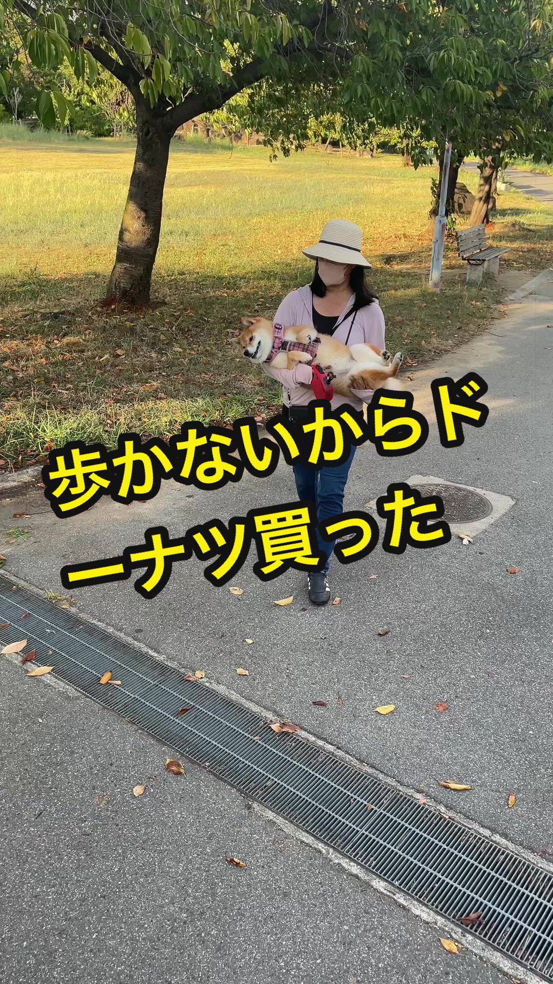 @特に柴犬が好きな人