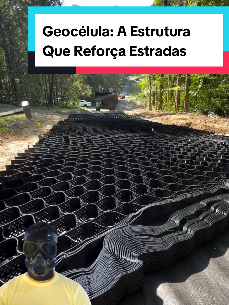 @Mundo da Curiosidades