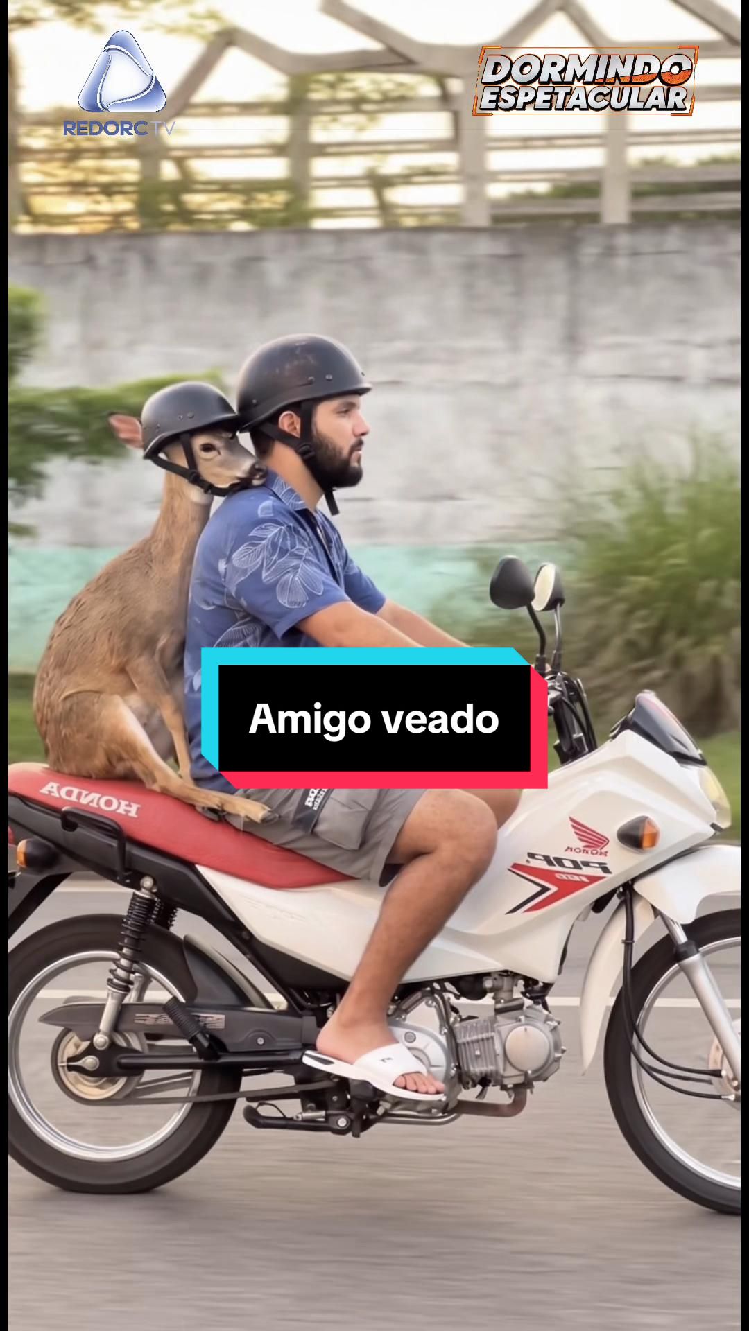 @Esdras Amorim