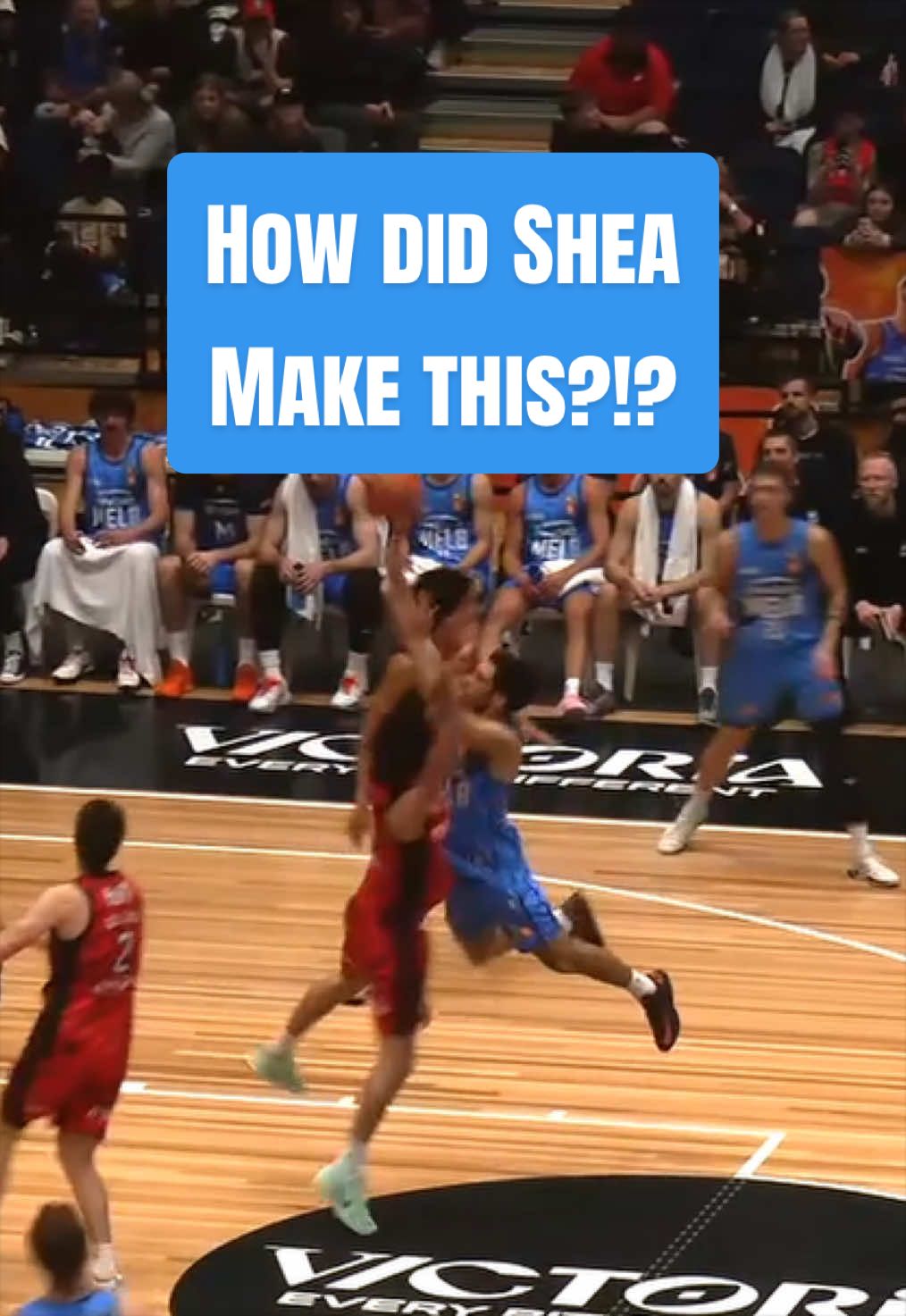 @Melbourne United