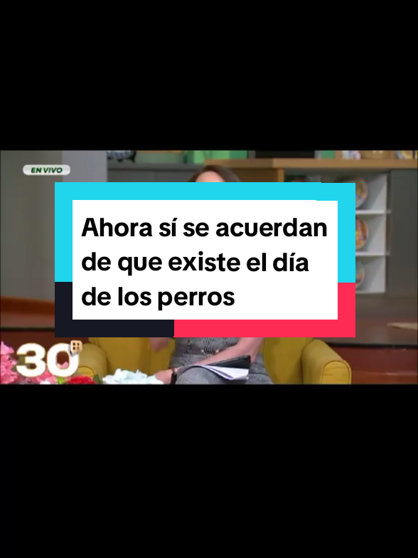 @Laura de los Perros