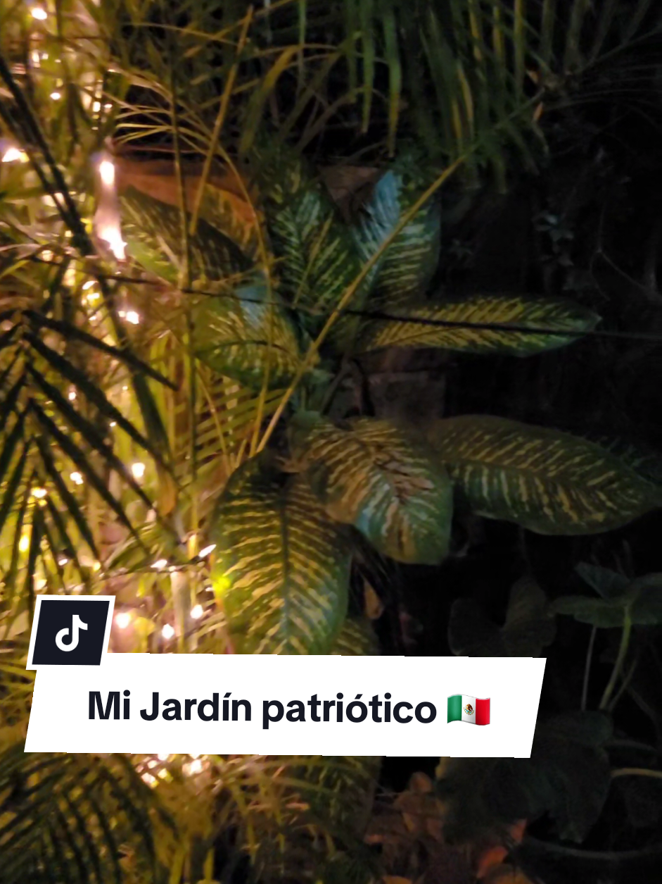 @Plantología🌿