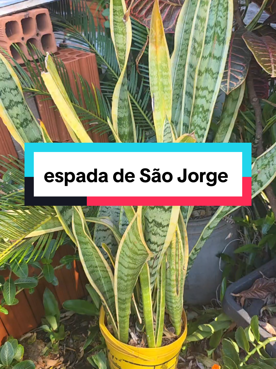 @Dicas e Receitas Naturais