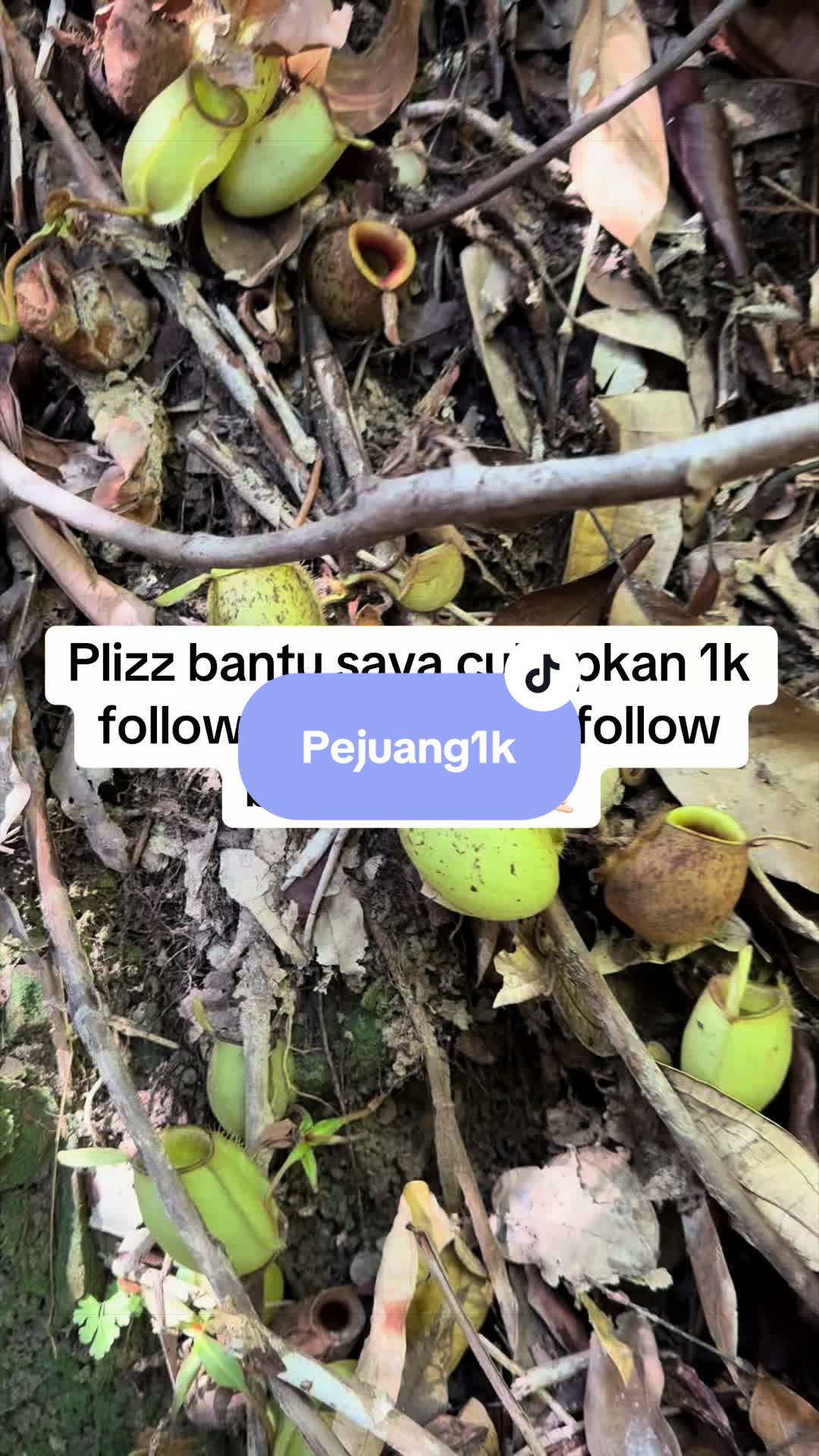 @IMAN69Shop