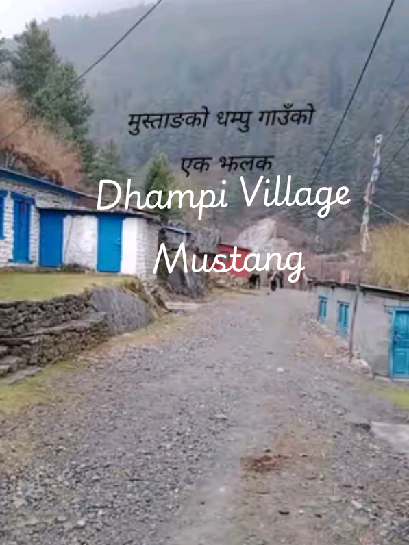 @महेन्द्र शाही