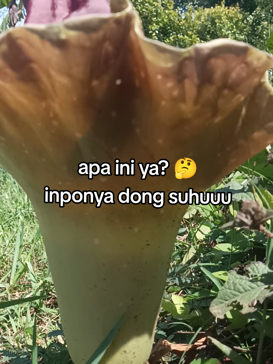 @Ha Sim