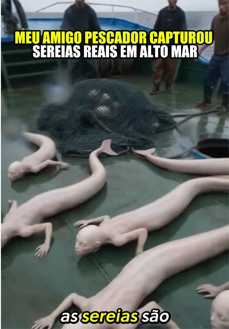 @felpzoficial