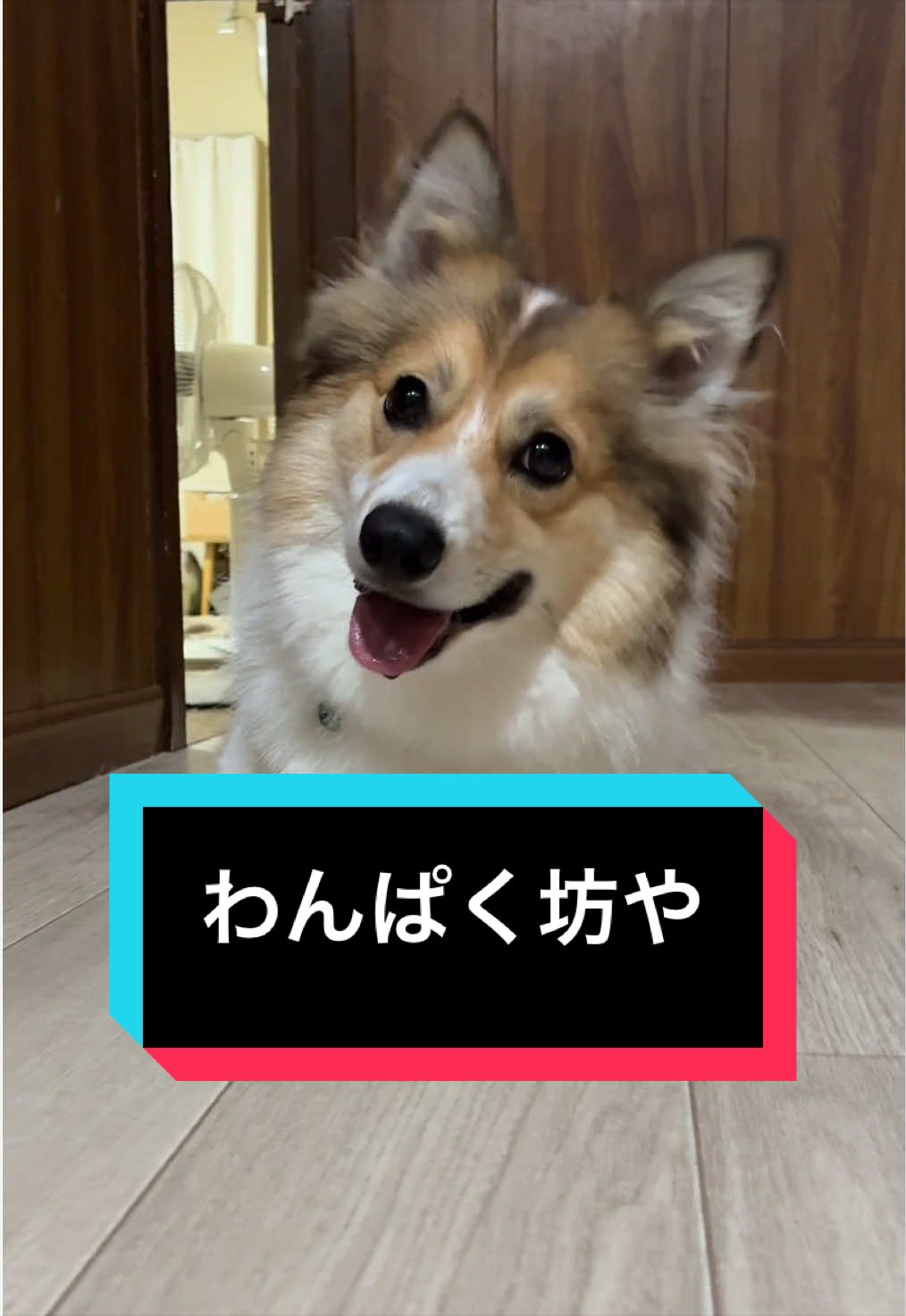 @サクサクビスケット